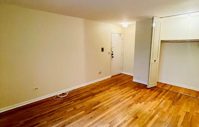 Studio, 1 bath, 450 sqft, $1,495, Unit 541-307