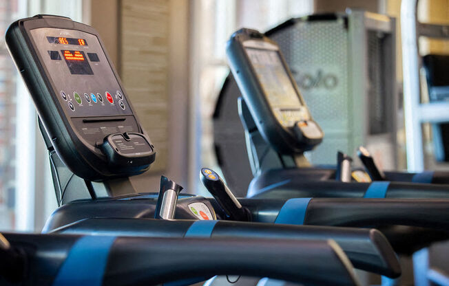 a row of cardio machines in a gym