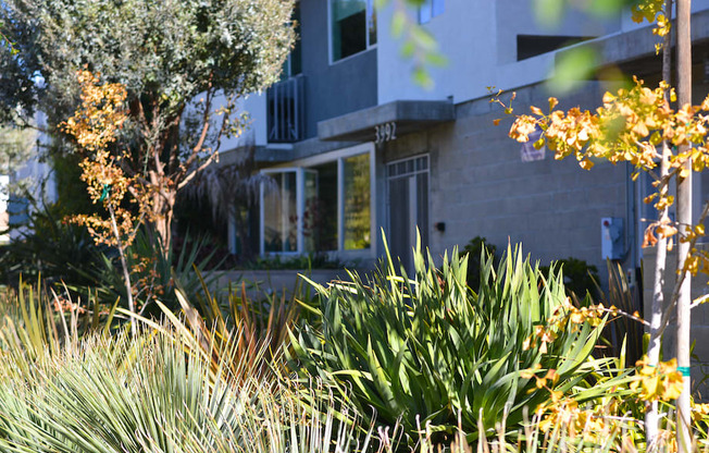 Mar Vista Lofts- Lush Landscaping