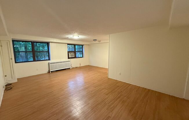 Studio, 1 bath, 487 sqft, $1,215, Unit Fifth L-C