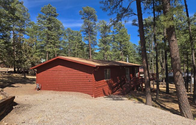 Single Level Three Bedroom Home with Bonus Room