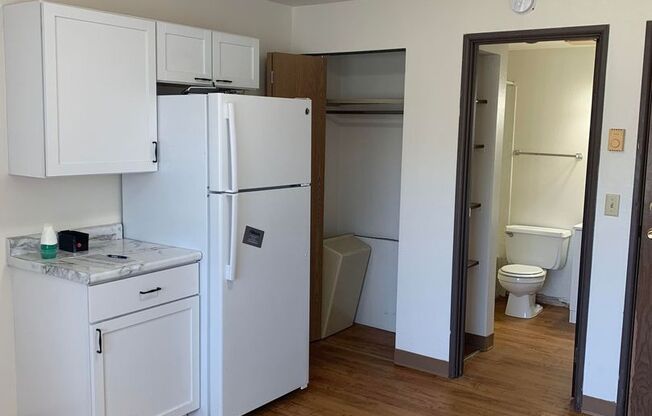 Studio, 1 bath, 203 sqft, $550, Unit 1502-2A