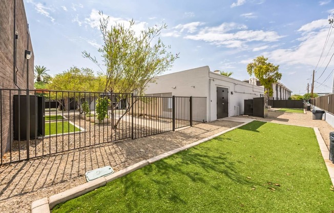 A small tree is in front of a white building.