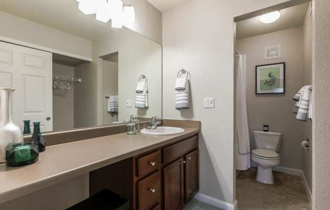 Copper Flats - Bathroom with Large Countertop, Huge Mirror, and Separate Space for Toilet and Shower