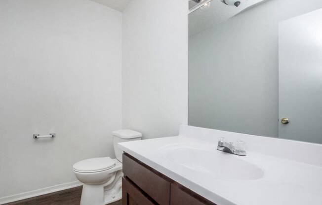 a bathroom with a sink and a toilet and a mirror