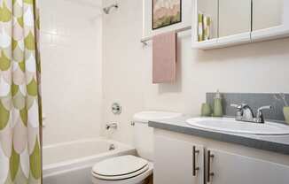 a bathroom with a sink and a toilet and a bath tub