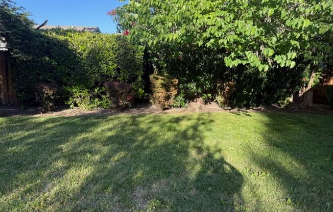 Spacious Single Story House in Natomas