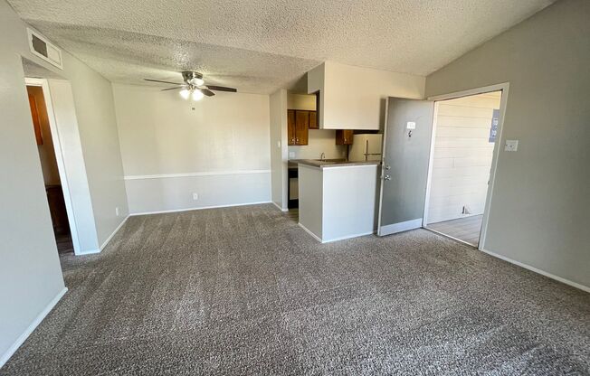 1 bed, 1 bath, 670 sqft, $805, Unit 1006