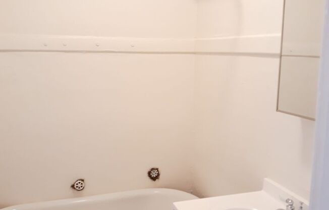 1 bed, 1 bath, 410 sqft, $1,495, Unit 303