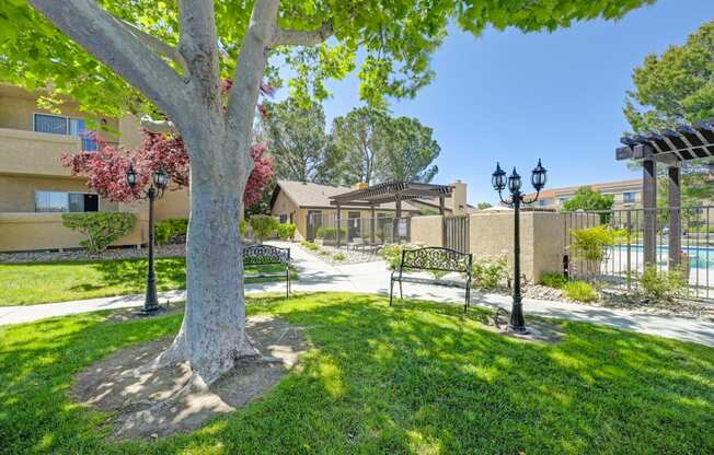 a park with benches and a tree in front of a building