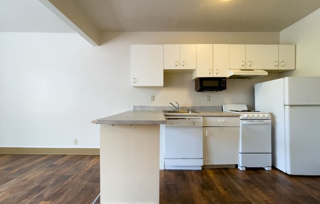 Seattle Apartments - Zindorf Apartments - kitchen