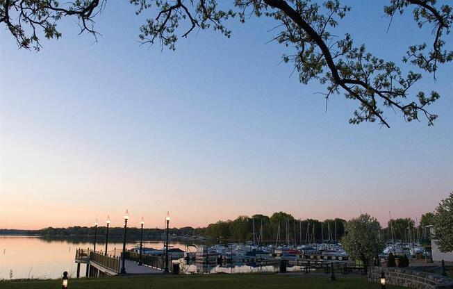 A tree branch is in the foreground of a serene lake scene with boats docked at a pier.