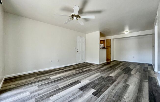 1 bed, 1 bath, $1,250