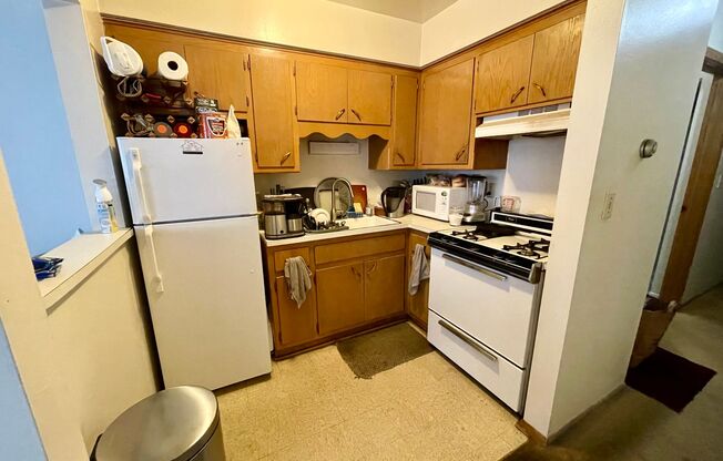 Studio, 1 bath, $895, Unit 102