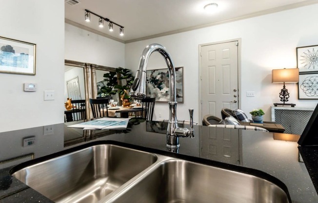 Stainless Steel Sink With Faucet at Berkshire Creekside, New Braunfels, Texas