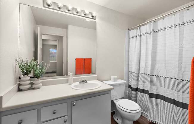 A bathroom with a white sink, toilet, and a mirror above a vanity.