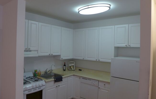 1 bed, 1 bath, 575 sqft, $1,450, Unit 309