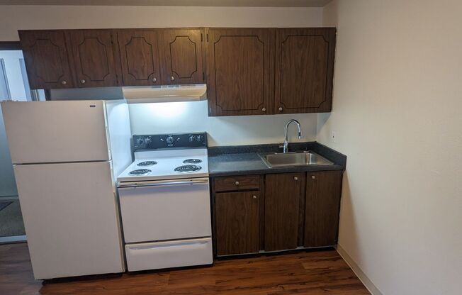 Studio, 1 bath, 350 sqft, $895, Unit 204