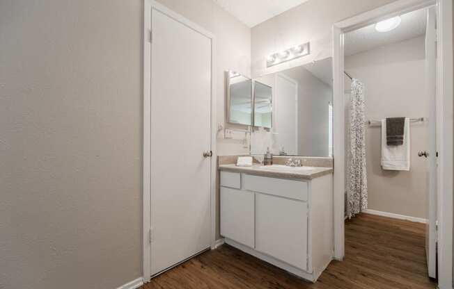 Separate vanity with plank floor  at Country Square, Carrollton, TX, 75006