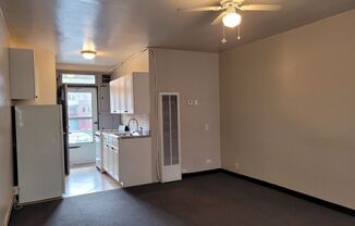 Studio, 1 bath, $795, Unit 110