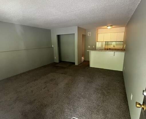 living room with a carpeted floor and a kitchen