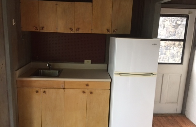 Studio, 1 bath, 300 sqft, $1,350, Unit Unit #4