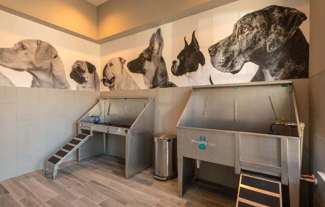 Pet Grooming Station at The Aster Apartments, Cary, North Carolina