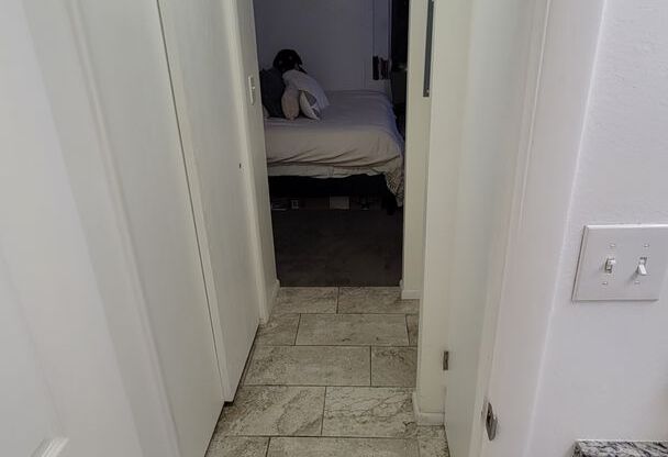 Studio, 1 bath, $1,065, Unit 307