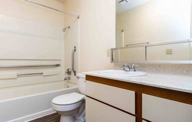 a bathroom with a sink and a toilet and a bath tub