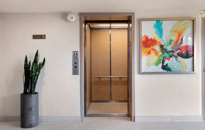 Discover Vista Apartments