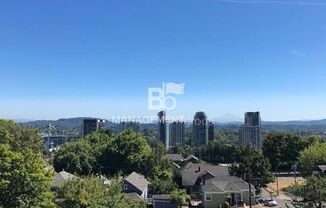 Sweeping Views of City & Mountain! Updated SW PDX Condo. Ton of Light & Upgrades! Parking & Most Utilities Included!
