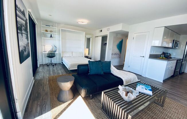 Studio, 1 bath, 489 sqft, $6,000, Unit A105