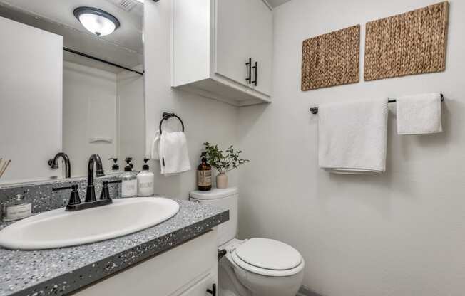 a bathroom with a sink and toilet next to a mirror