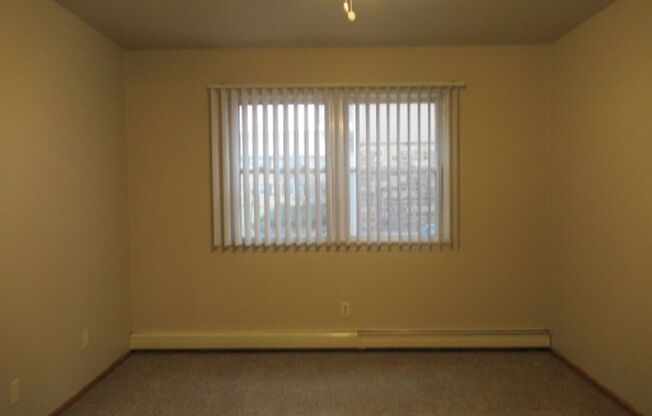 1 bed, 1 bath, $1,100, Unit Unit 117