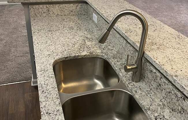 double kitchen sink with gooseneck faucet