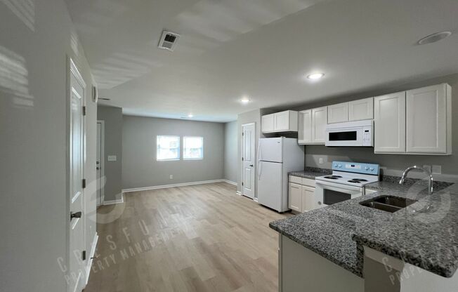 Stunning New Construction Townhome - Ready for Move In!