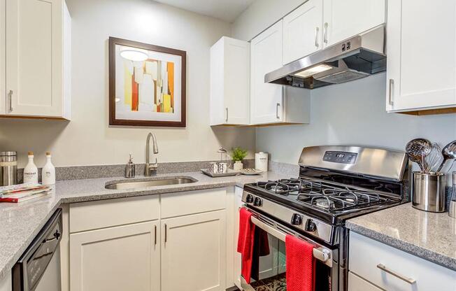 Kitchen at Orion ParkView, Illinois