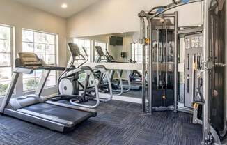 The Palms Apartments Fitness Center with cardio equipment and weight machines