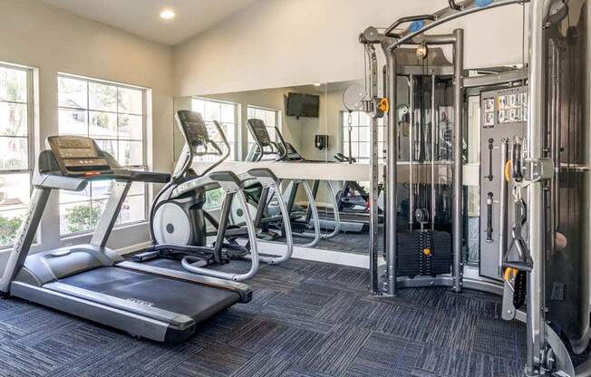 The Palms Apartments Fitness Center with cardio equipment and weight machines