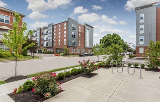 an exterior view of an apartment complex with a sidewalk and playground at 310 at Nulu Apartments-Student, Louisville, KY