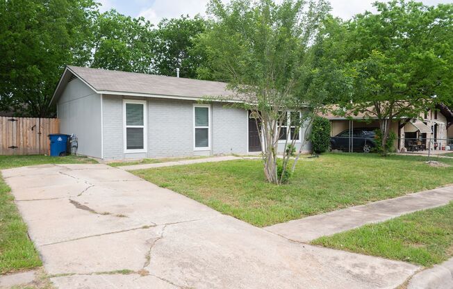 Renovated South Austin Corner Lot - Move In Ready!