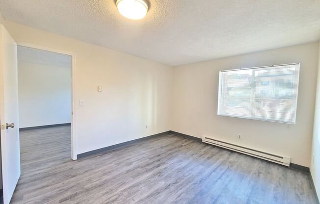 1 bed, 1 bath, 595 sqft, $995, Unit 101