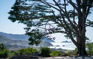 Pacific View Apartments