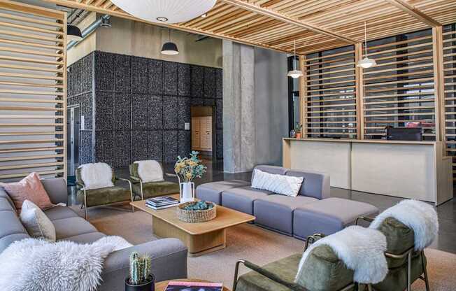 A modern living room with a grey couch, a coffee table, and a cactus plant.