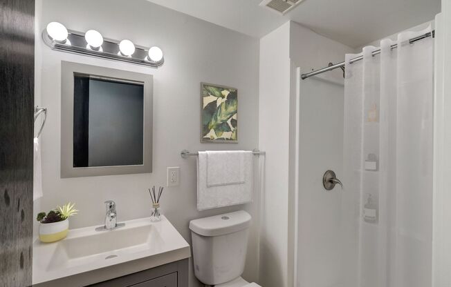 Studio, 1 bath, 249 sqft, $995, Unit 305