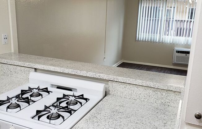Studio, 1 bath, 433 sqft, $1,750, Unit 146