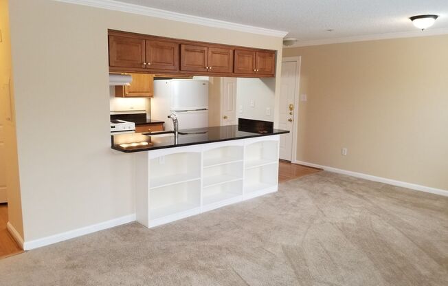 2603 Camelback Lane #5