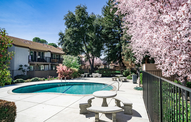 Cedar Springs Apartments