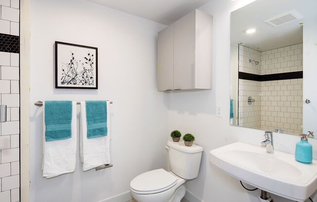 Studio, 1 bath, 230 sqft, $1,084, Unit 116