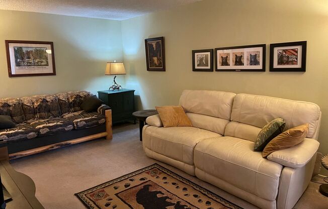 Furnished Condo in Great Location - Long Term Rental - Available Now